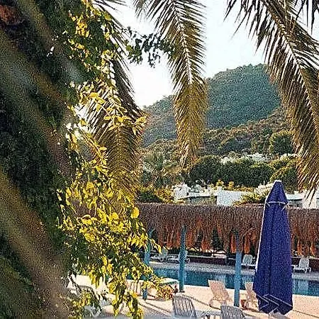 Club Afrodit Tatil Koya Hotel Gure